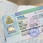 Navigating Cambodia Entry Requirements: Visas, Appointments, and Professional Stays